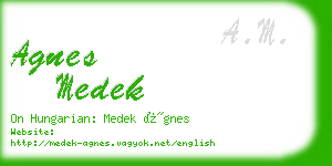 agnes medek business card